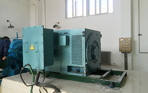 王五镇某水电站工程主水泵使用我公司高压电机一年质保